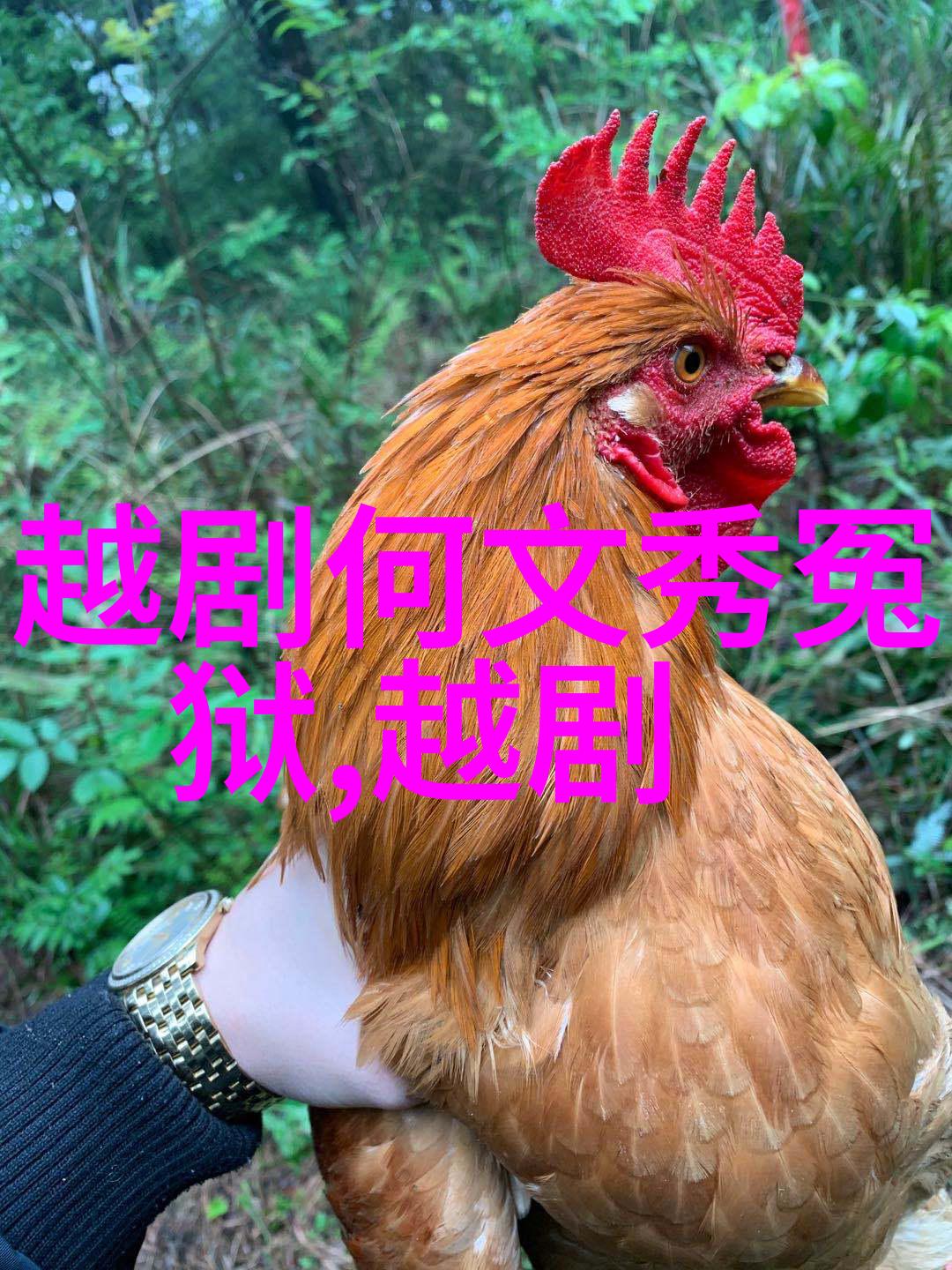 1999年