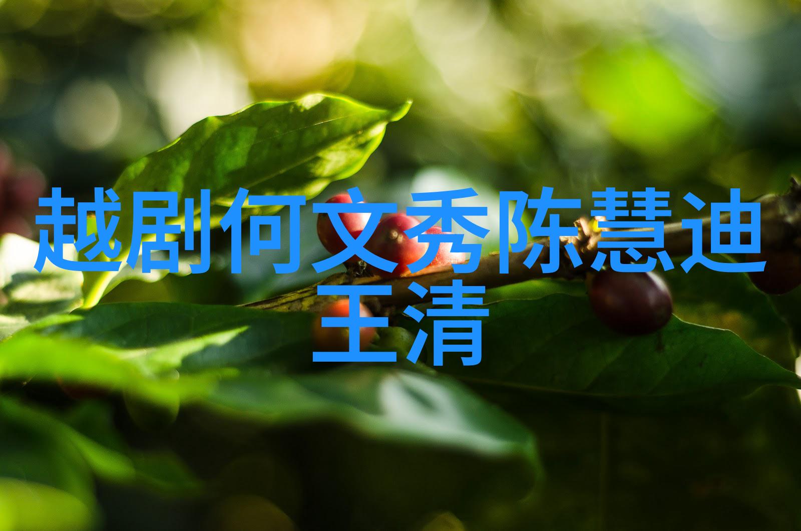 第一节 谚语口诀