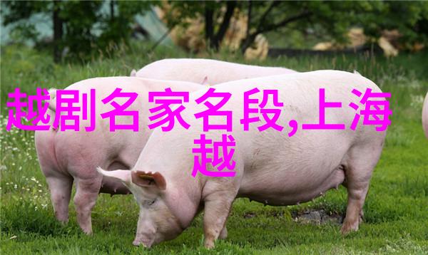 第五节 化 装